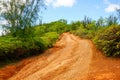 Deep red soil of rutted road through tropical greenery