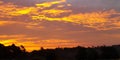 A deep red sunset over the Kentucky horizon with trees in the foreground Royalty Free Stock Photo