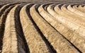 Large and deep, curved furrows in a potato field