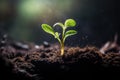 Deep-rooted Ground plant grow. Generate Ai Royalty Free Stock Photo