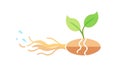Deep Roots: Strong Sprout for Growth and Foundation, vector design Generative AI Royalty Free Stock Photo