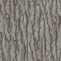 Deep Rough Bark Pattern Texture