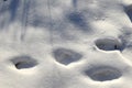 Deep round footprints on white sparkling snow, sunny day, play of light and shadows, winter background Royalty Free Stock Photo