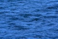 Deep blue rippling water surface background Royalty Free Stock Photo