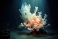 deep-sea coral emitting a ghostly underwater glow