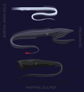 Deep Sea Fish Gulper Eel Set Cartoon Vector Illustration