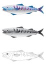 Deep sea fish vector illustration Royalty Free Stock Photo