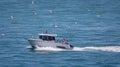 Deep sea fishing charter boat at sea with fishing rods and seagulls following its wake - off Portland, Dorset, UK