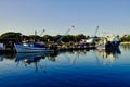 Deep Sea Fishing Trawlers, Sydney Harbour, Australia Royalty Free Stock Photo