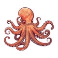 Deep sea gourmet a cute octopus