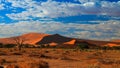 Deep shadows on Sossusvlei dunes at sunrise Namib desert Namibia