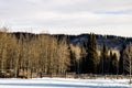 Deep snow covers the picnic area. Station Flats Provincial Recreation Area Alberta Canada Royalty Free Stock Photo