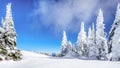 Deep Snow Pack and Snow Covered Trees in the High Alpine Royalty Free Stock Photo