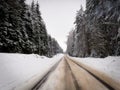 Deep snow winter forest road sprinkled with salt and sand Royalty Free Stock Photo