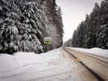 Deep snow winter forest road sprinkled with salt and sand Royalty Free Stock Photo