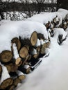 Freshly Snow Covered Wood Pile Royalty Free Stock Photo