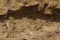 Deep soil slice as drawing, background natural