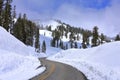 Lassen Volcanic National Park Road with High Snow in Spring near Sulphur Works, California, USA Royalty Free Stock Photo