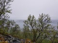 Deep thick fog over tromsoe city island