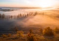 Deep thick fog in the valley. Long shadows from the trees. Atmospheric beautiful dawn. Aerial drone photo. Amazing