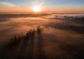 Deep thick fog in the valley. Long shadows from the trees. Atmospheric beautiful dawn. Aerial drone photo.
