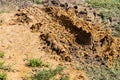 Deep tire ruts in lawn Royalty Free Stock Photo