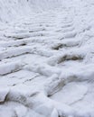 Tire Track in the snow Royalty Free Stock Photo