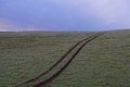 Deep Tracks left by a Farm Tractor cuts across the steep slope of a fallow field.