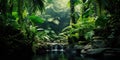 Deep tropical jungles of Southeast Asia in august Royalty Free Stock Photo