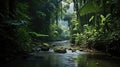 Deep tropical jungles of Southeast Asia in august