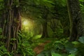 Deep tropical jungles Royalty Free Stock Photo