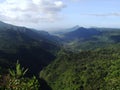 Black river gorges national park, Mauritius Royalty Free Stock Photo