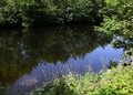 Deep water reflections, river in hot summer.