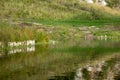 Deep water surface shore lake or river. Serene landscape coastal with a descent to the reservoir