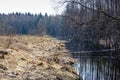 Deep wetland with a ditch between field and forest Royalty Free Stock Photo