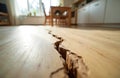 Deep, wide crack splits light wood floor planks inside home. Damage shows structural problems building issues. Broken flooring Royalty Free Stock Photo