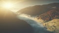 Deep wild wood mountain foggy slope aerial view