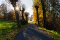 Deep wood forest hiking trail Royalty Free Stock Photo