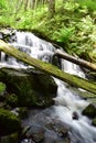 Lost Deep Forest Waterfall Shot In East Northern Idaho Royalty Free Stock Photo