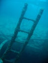 deep wreck dive negros philippines