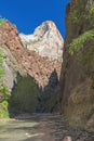 Deep in the Zion Narrows Royalty Free Stock Photo