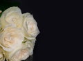 Deepest condolence white flowers on black background Royalty Free Stock Photo