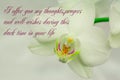 Deepest condolence white flowers on white background with text