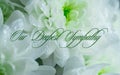 Deepest condolence white flowers on white background with text