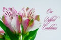 Deepest condolences with text and white pink flower on white background