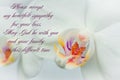 Deepest condolences with text and white pink flower on white background