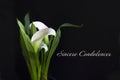 With Deepest Sympathy Card with a White Calla lily on a Black Background