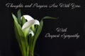 With Deepest Sympathy Card with a White Calla lily on a Black Background Royalty Free Stock Photo