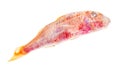 Deepfrozen red mullet fish isolated on white Royalty Free Stock Photo