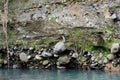 Deeply eroded river bank due to previous flooding Royalty Free Stock Photo